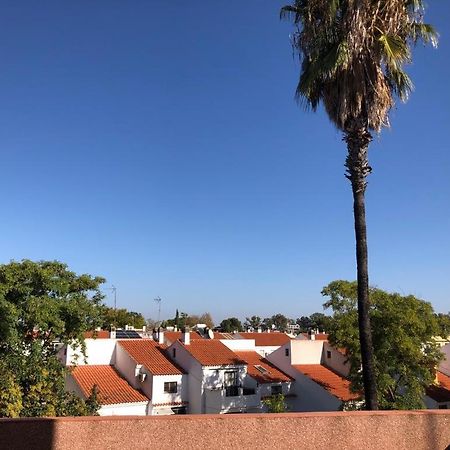 Apartmán Familia Anfitriona Acoge Terraza Sevilla Exteriér fotografie