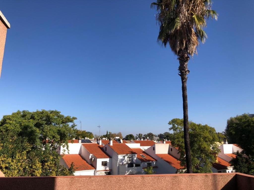 Apartmán Familia Anfitriona Acoge Terraza Sevilla Exteriér fotografie